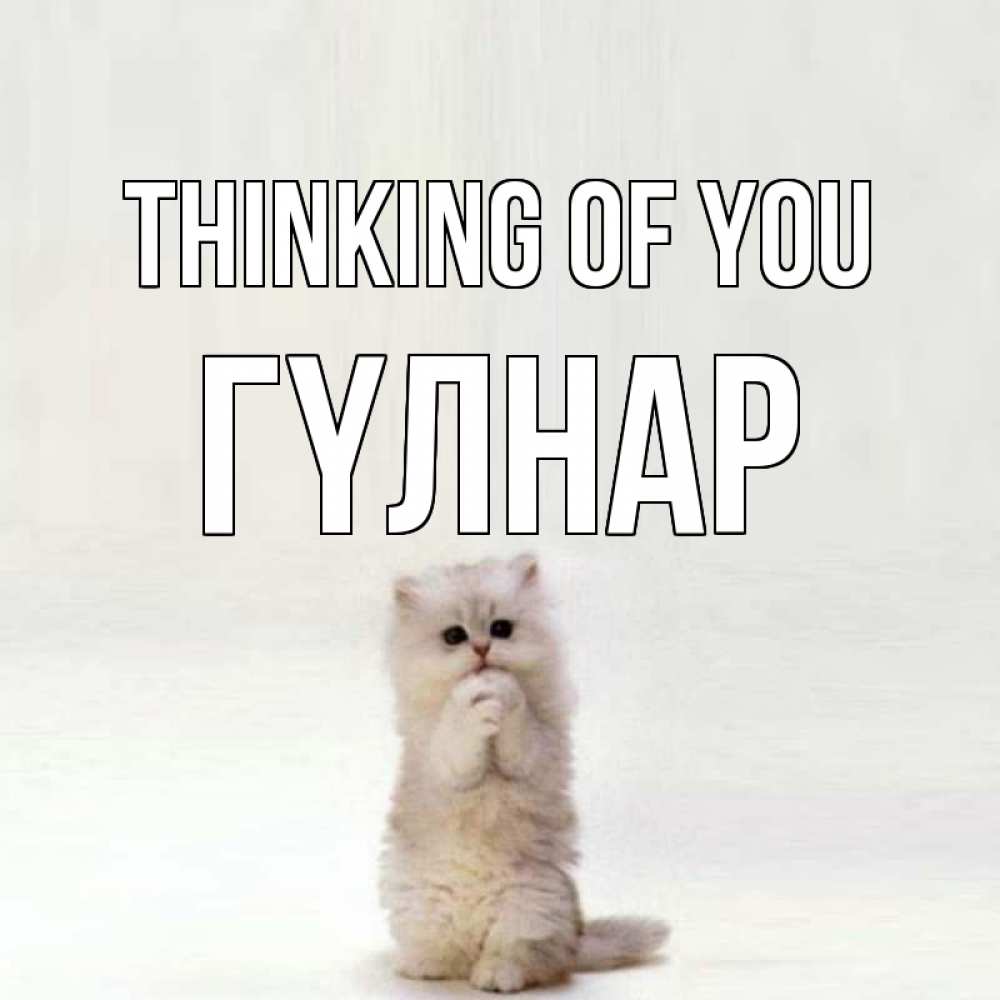 Greetings card с именем, ГҮЛНАР Thinking of you кот стоит на задних лапах Greetings with text for free download 