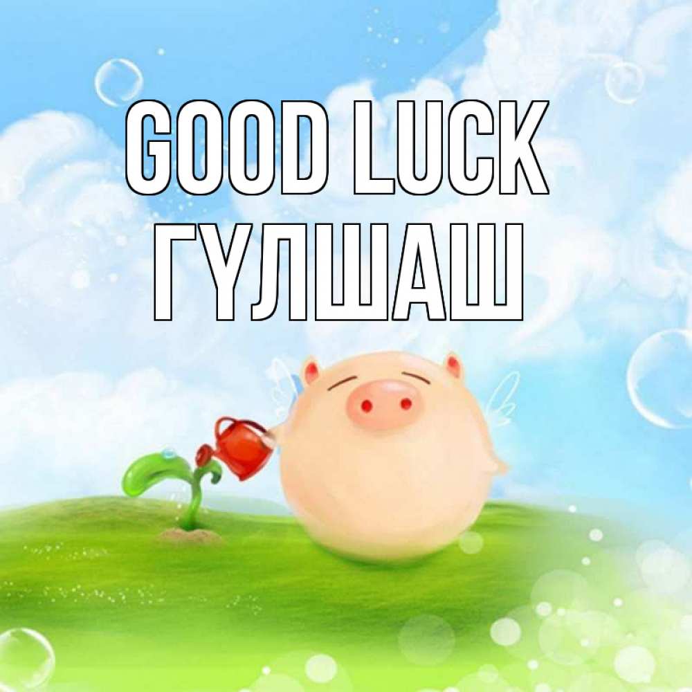 Greetings card с именем, ГҮЛШАШ Good luck поросенок поливает цветок. летнее настроение Greetings with text for free download 
