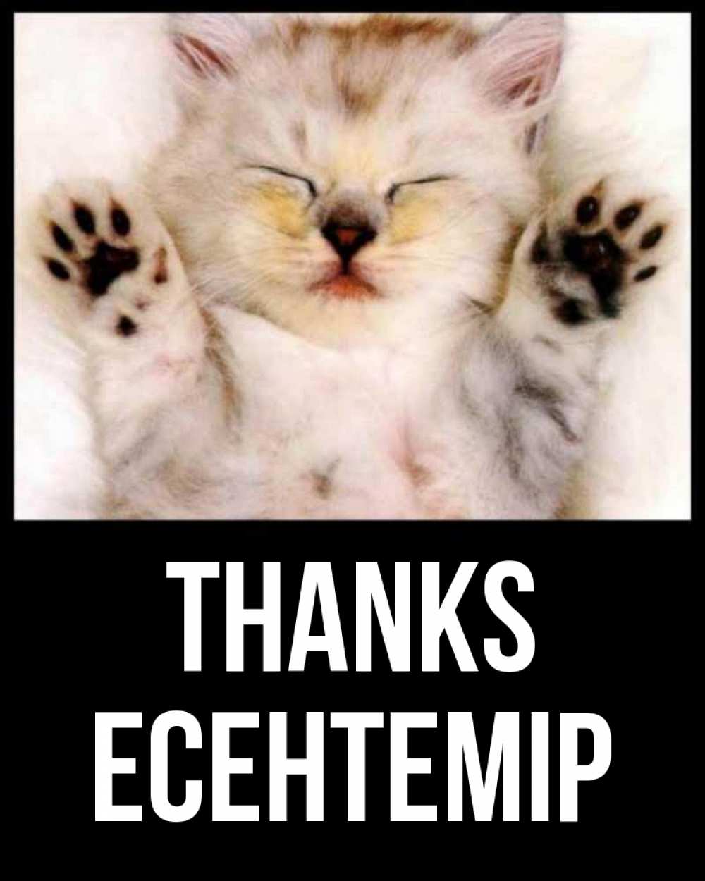 Greetings card с именем, Есентемір Thanks маленький котенок Greetings with text for free download 