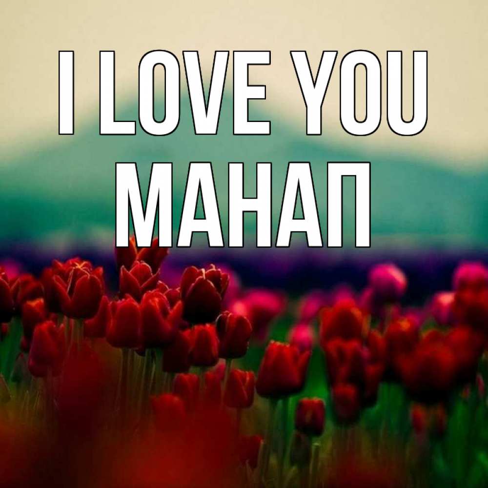 Greetings card с именем, МАНАП I love you тюльпаны 4 Greetings with text for free download 