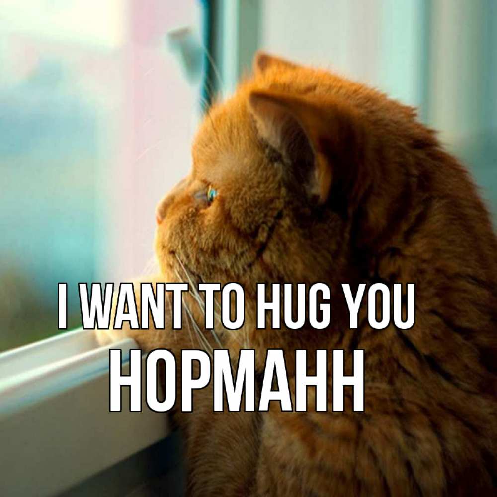 Greetings card с именем, Норманн I want to hug you большой огромный рыжий котяра Greetings with text for free download 
