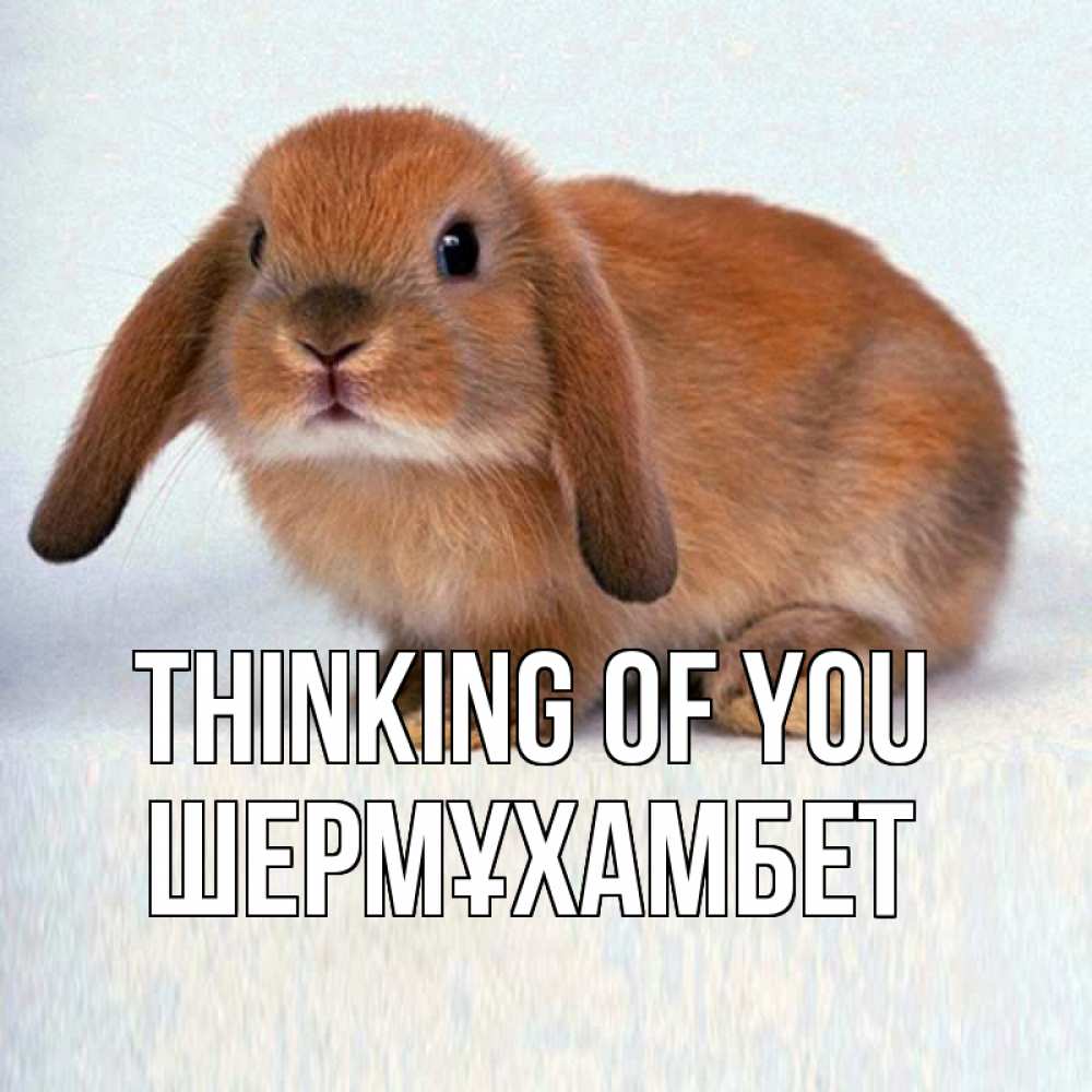 Greetings card с именем, ШЕРМҰХАМБЕТ Thinking of you кроль коричневый Greetings with text for free download 