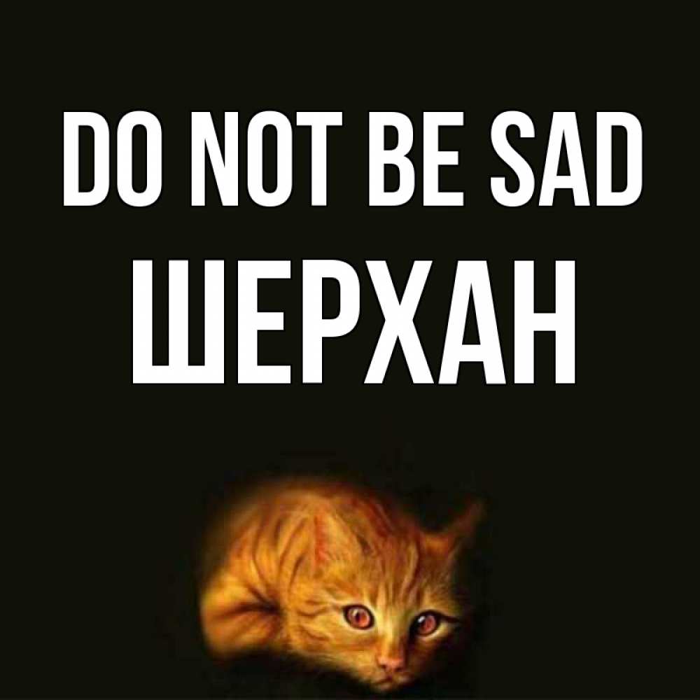 Greetings card с именем, ШЕРХАН Do not be sad лежащий кот в темноте Greetings with text for free download 
