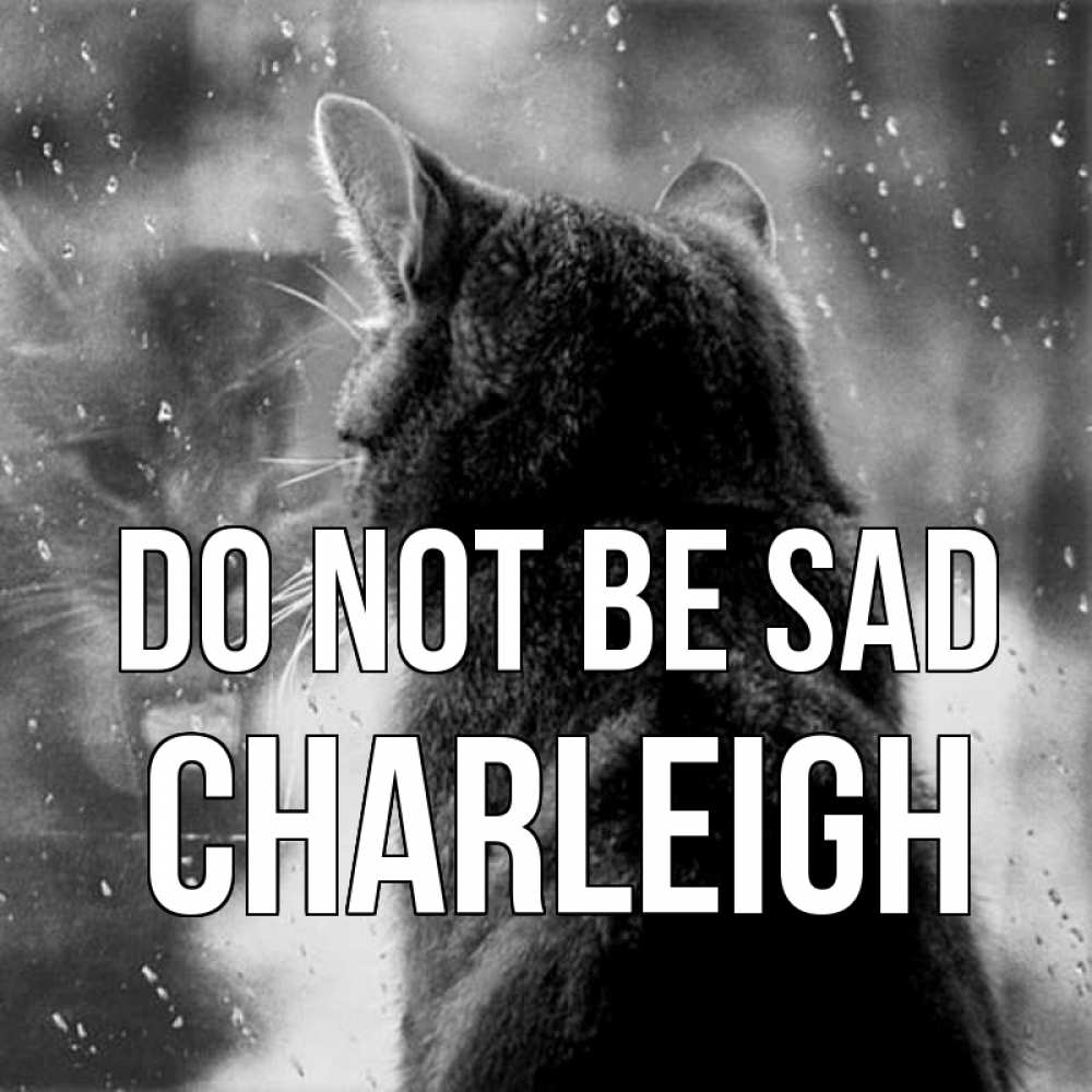 Greetings card с именем, Charleigh Do not be sad отражение кота 1 Greetings with text for free download 