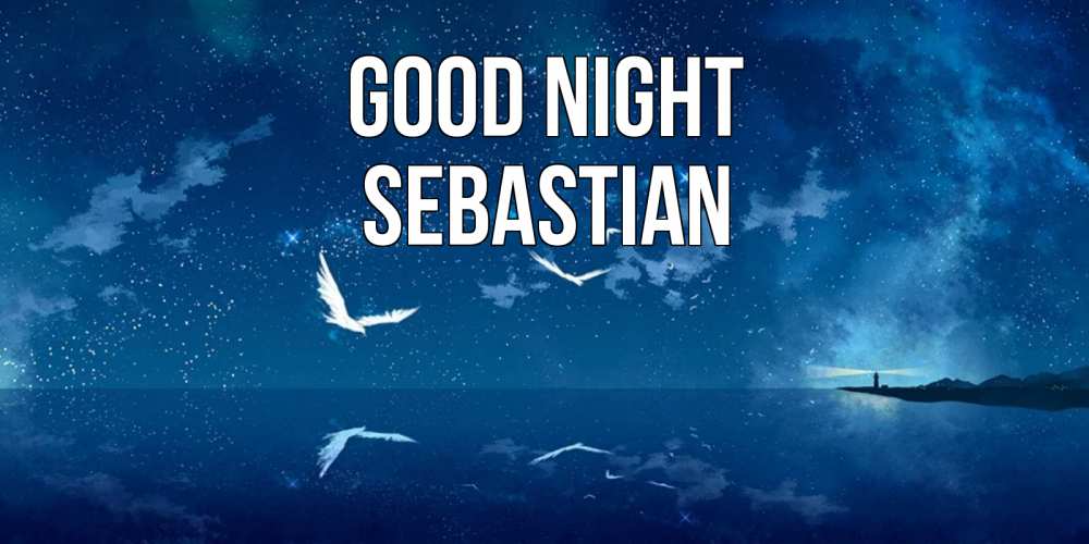 Greetings card с именем, Sebastian Good night птицы летят на фоне ночного неба Greetings with text for free download 