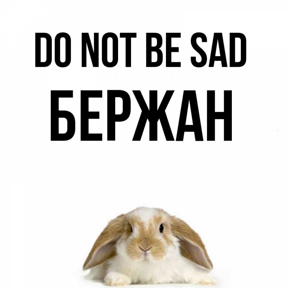 Greetings card с именем, Бержан Do not be sad коричнево белый заяц с большими ушками Greetings with text for free download 