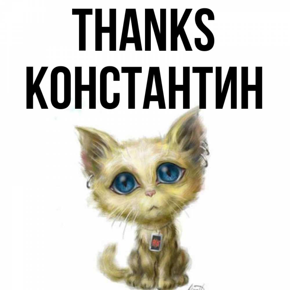 Greetings card с именем, Константин Thanks рисованный кот благодарит вас Greetings with text for free download 
