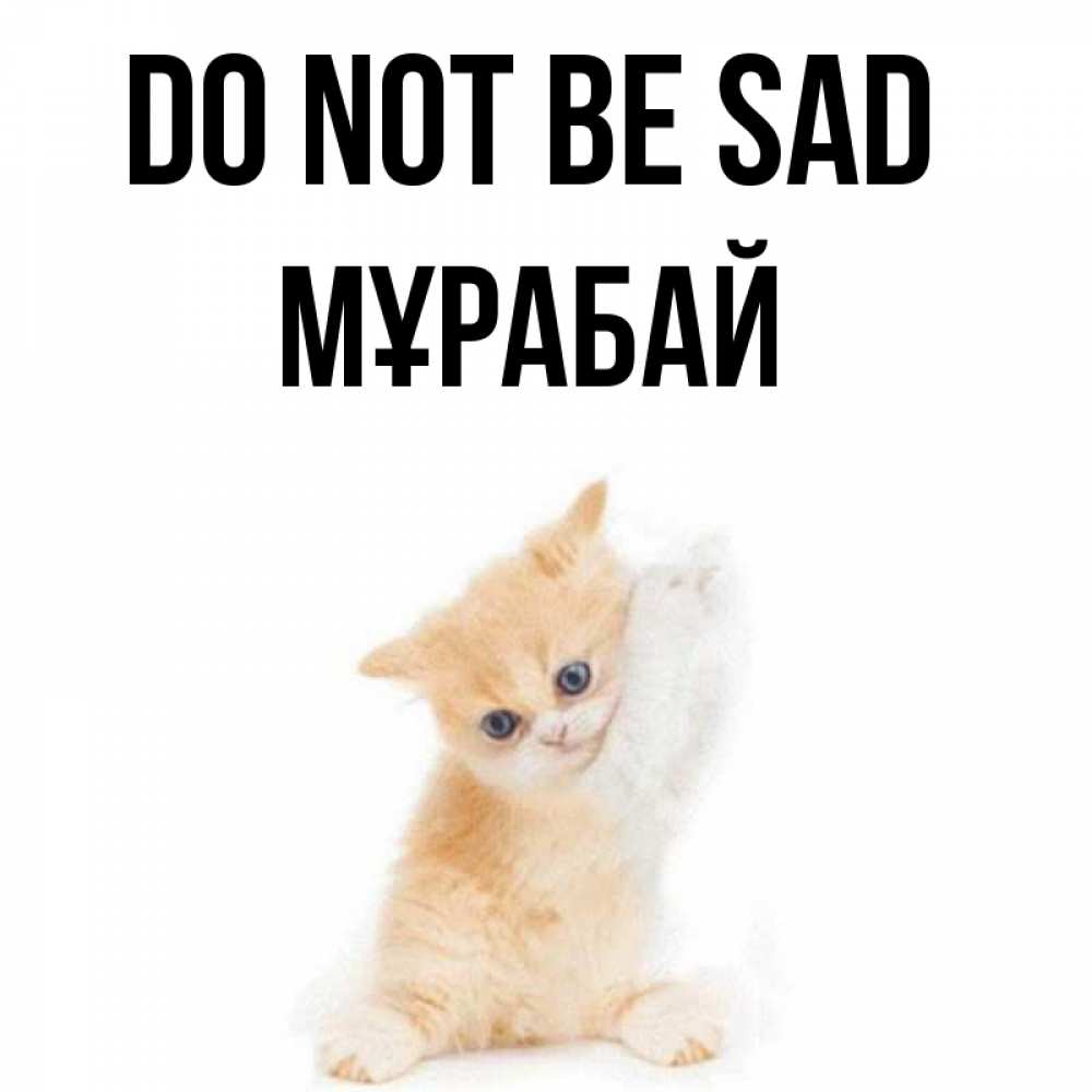 Greetings card с именем, МҰРАБАЙ Do not be sad просящий кот Greetings with text for free download 