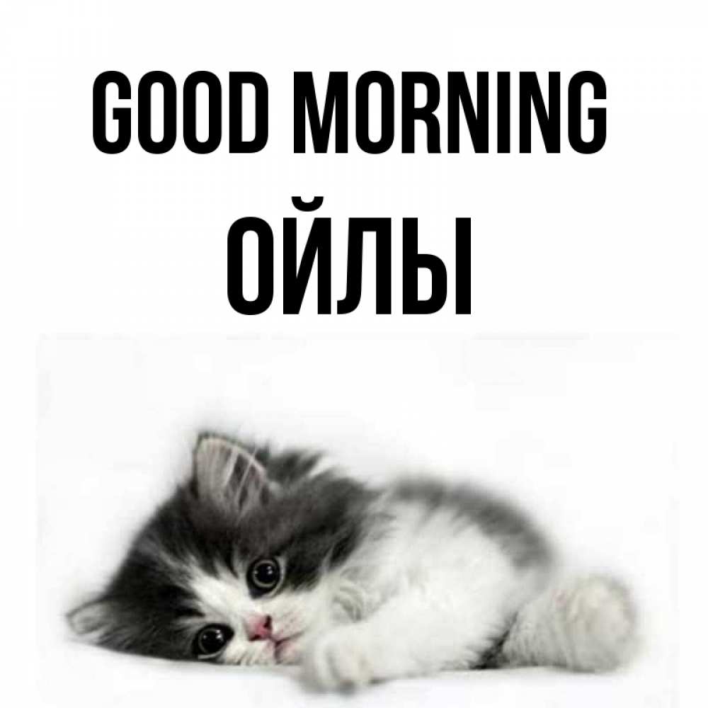 Greetings card с именем, ОЙЛЫ Good morning кот лапки Greetings with text for free download 