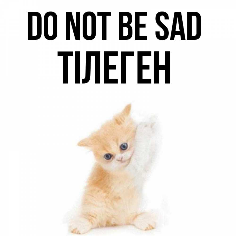 Greetings card с именем, ТІЛЕГЕН Do not be sad просящий кот Greetings with text for free download 