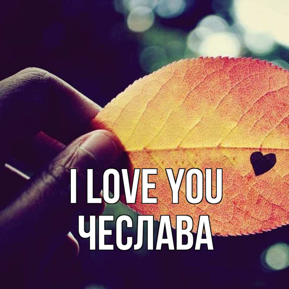 Greetings card с именем, Чеслава I love you держу лист Greetings with text for free download 