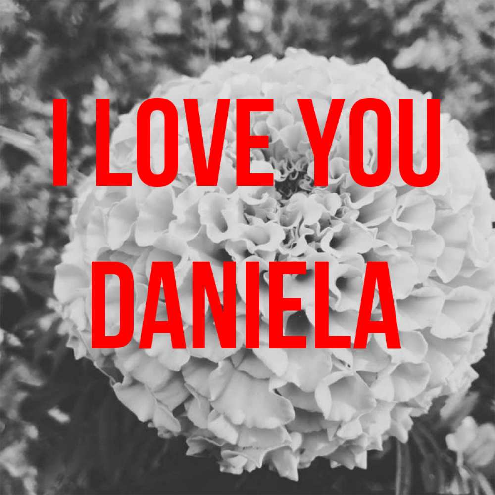 Greetings card с именем, Daniela I love you подпись Greetings with text for free download 