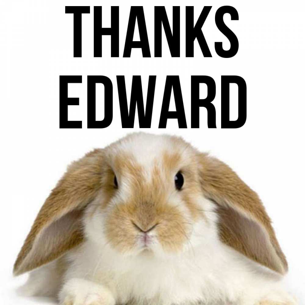 Greetings card с именем, Edward Thanks коричнево белый заяц Greetings with text for free download 