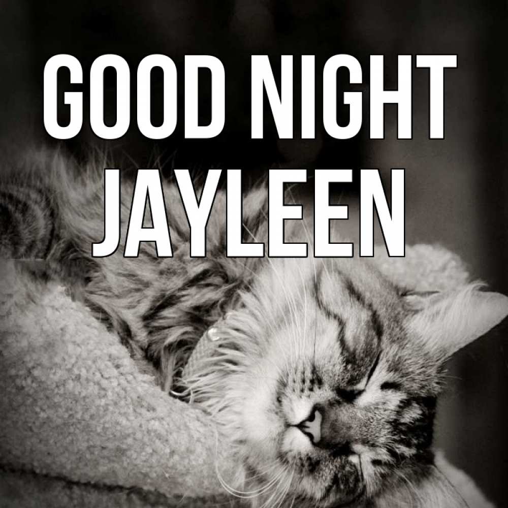 Greetings card с именем, Jayleen Good night котярик пушистый Greetings with text for free download 