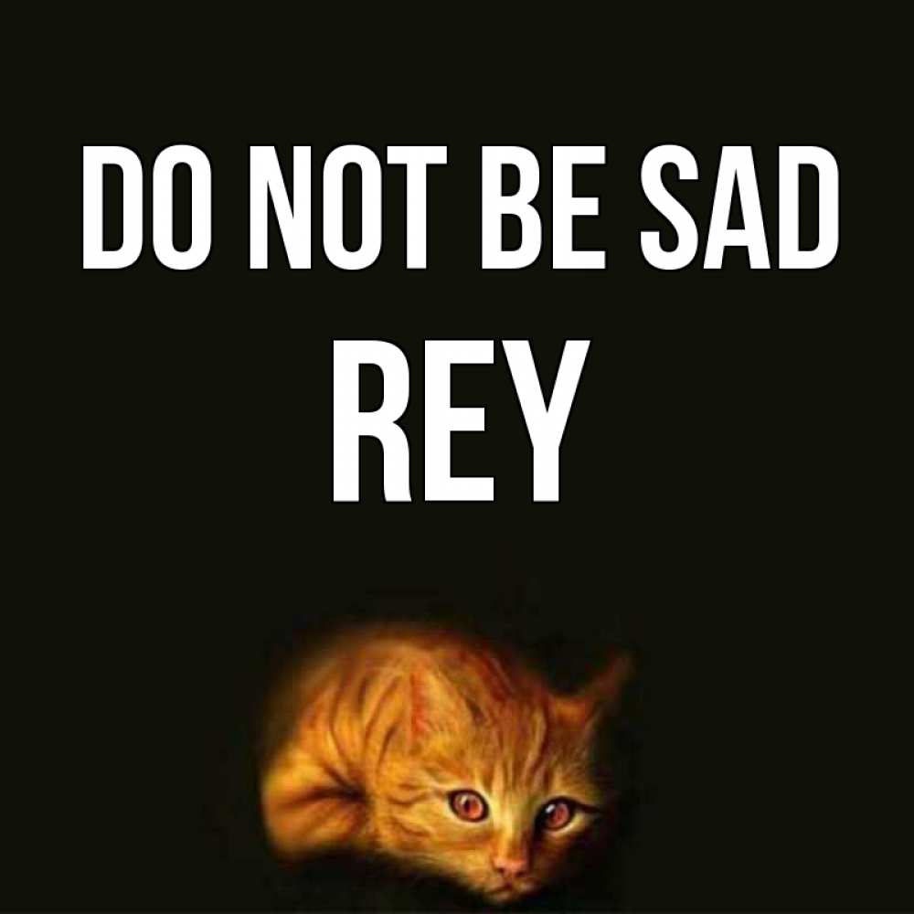 Greetings card с именем, Rey Do not be sad лежащий кот в темноте Greetings with text for free download 