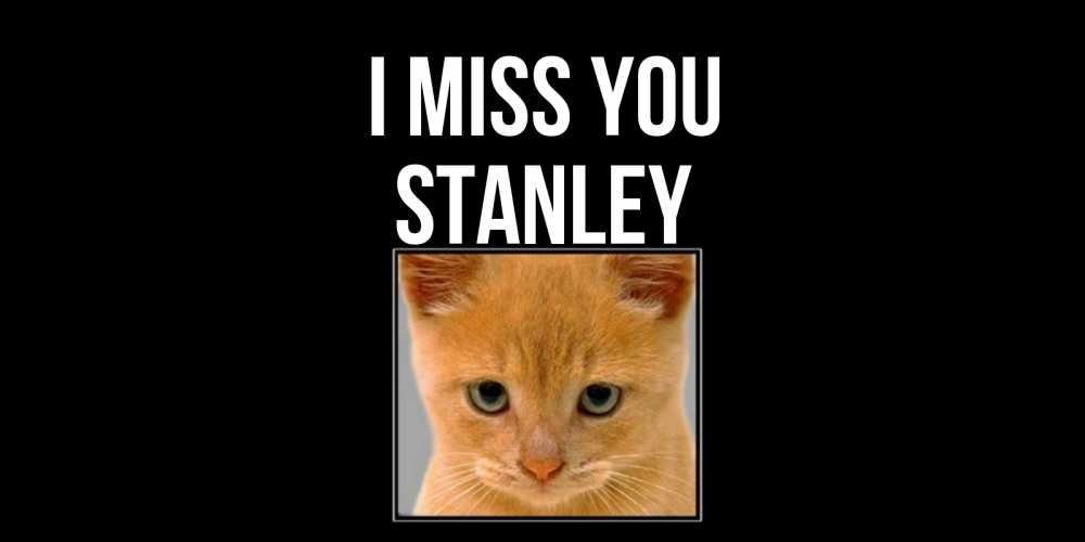 Greetings card с именем, Stanley I miss you открытки рыжий котенок скучает по тебе Greetings with text for free download 