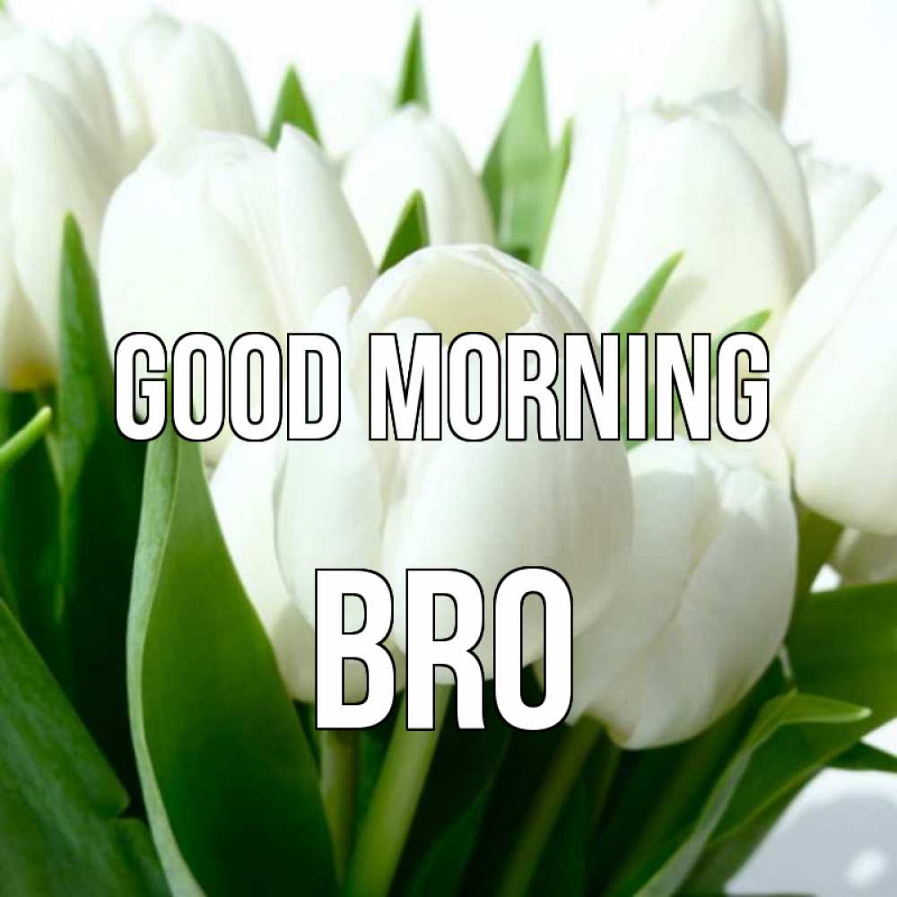 Greetings card с именем, bro Good morning открытки на каждый день по именам Greetings with text for free download 