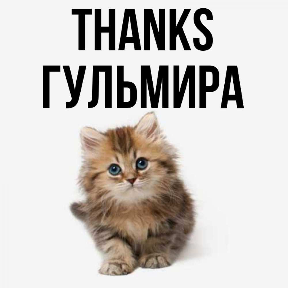 Greetings card с именем, Гульмира Thanks пушистый котик Greetings with text for free download 