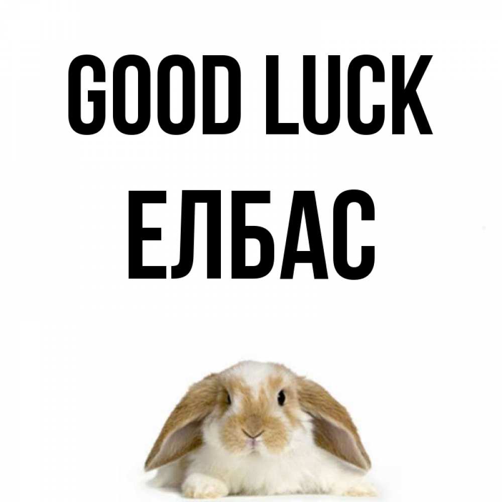 Greetings card с именем, Елбас Good luck открытки с произвольным текстом который можно вставить в открытку и создать ее самостоятельно бесплатно онлайн Greetings with text for free download 
