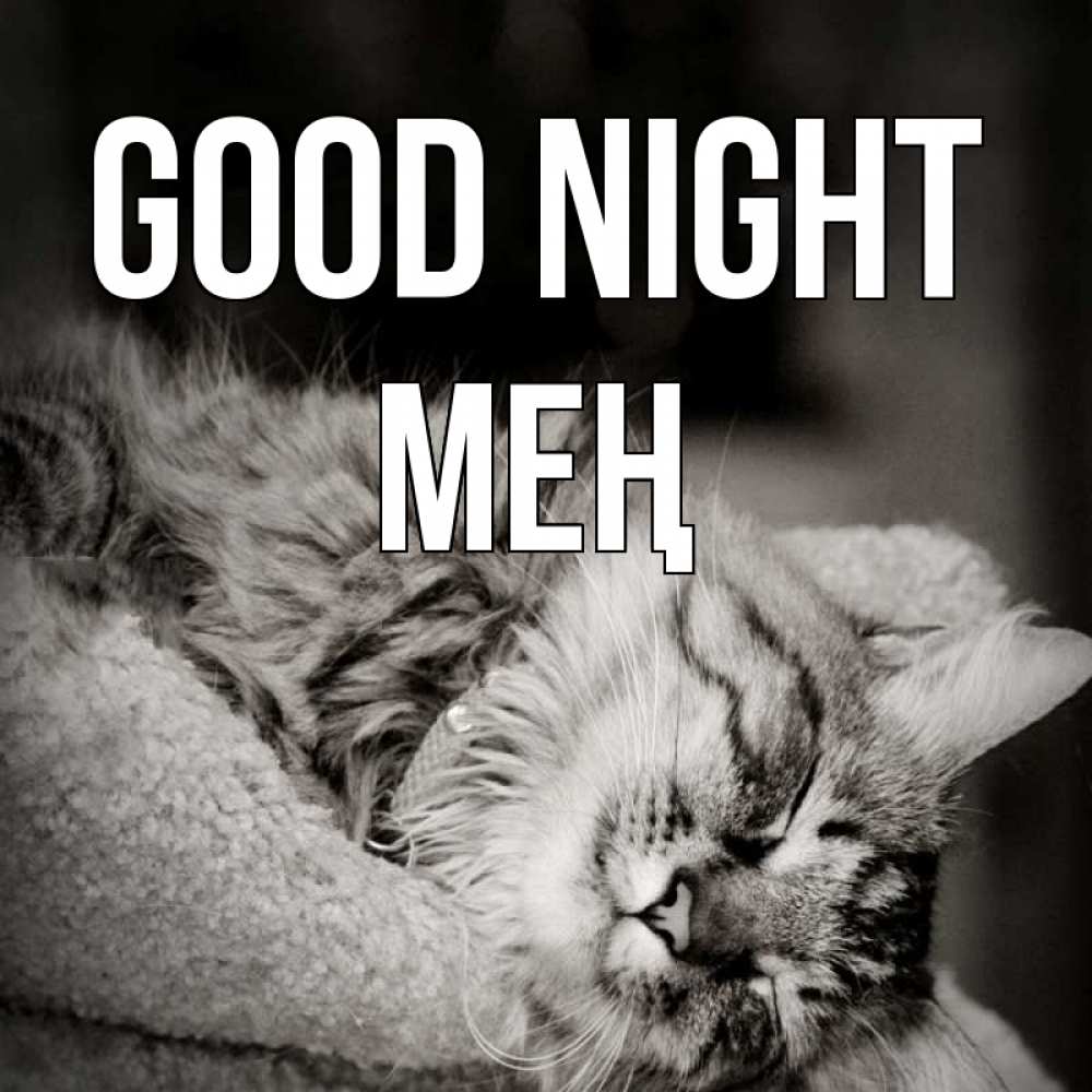 Greetings card с именем, МЕҢ Good night котярик пушистый Greetings with text for free download 