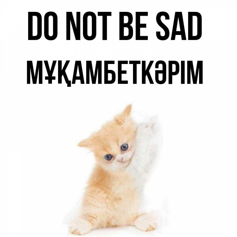 Greetings card с именем, Мұқамбеткәрім Do not be sad просящий кот Greetings with text for free download 