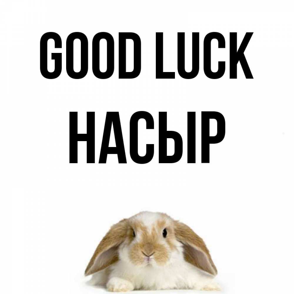 Greetings card с именем, НАСЫР Good luck открытки с произвольным текстом который можно вставить в открытку и создать ее самостоятельно бесплатно онлайн Greetings with text for free download 