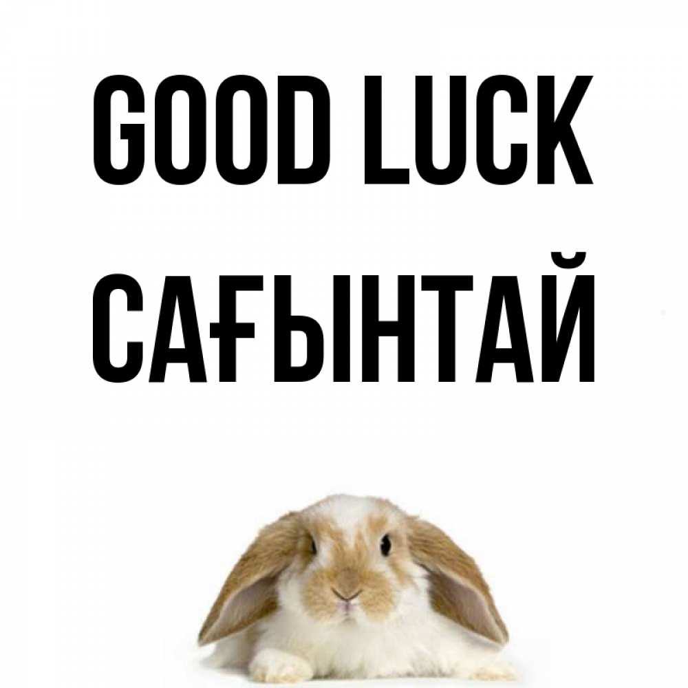 Greetings card с именем, Сағынтай Good luck открытки с произвольным текстом который можно вставить в открытку и создать ее самостоятельно бесплатно онлайн Greetings with text for free download 