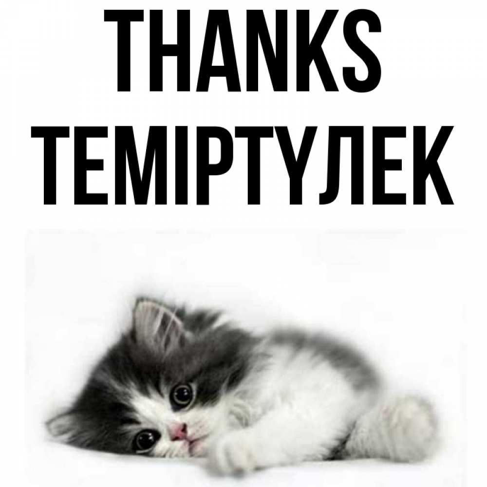 Greetings card с именем, ТЕМІРТҮЛЕК Thanks черный и белый кот Greetings with text for free download 