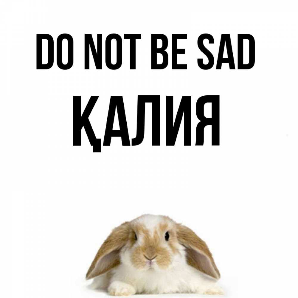 Greetings card с именем, ҚАЛИЯ Do not be sad коричнево белый заяц с большими ушками Greetings with text for free download 