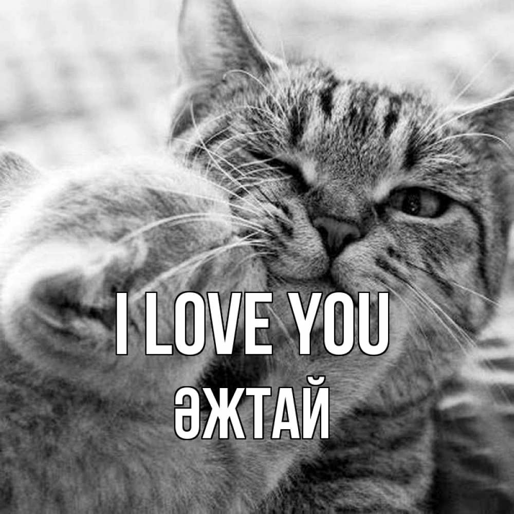 Greetings card с именем, Әжтай I love you коты Greetings with text for free download 