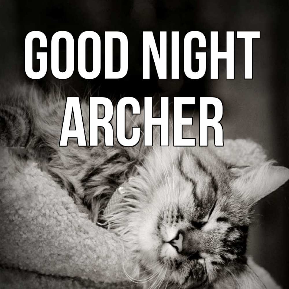 Greetings card с именем, Archer Good night котярик пушистый Greetings with text for free download 