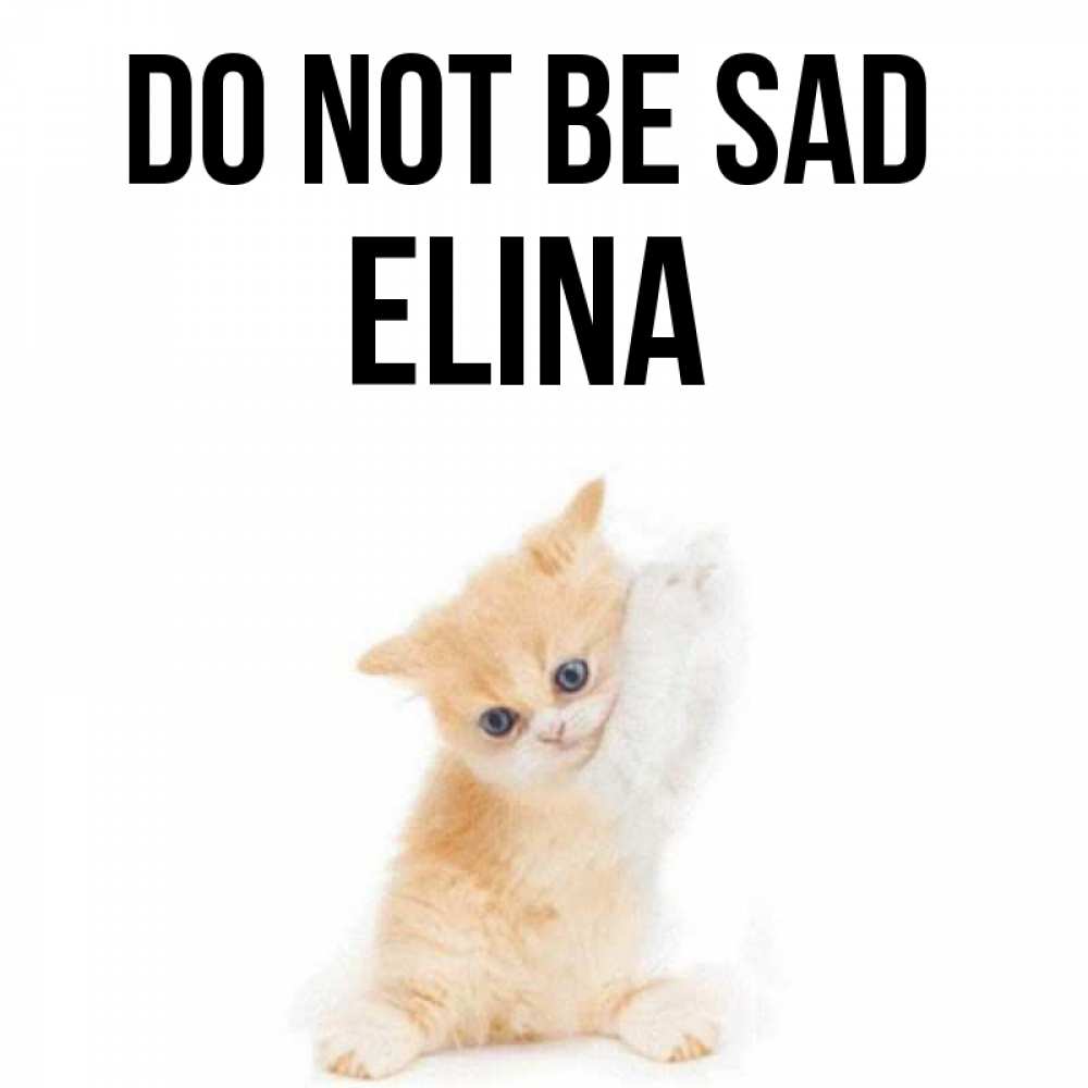 Greetings card с именем, Elina Do not be sad просящий кот Greetings with text for free download 