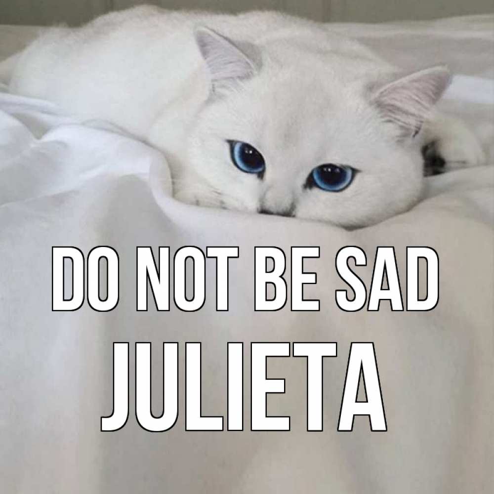 Greetings card с именем, Julieta Do not be sad белый кот с голубыми глазами на белоснежной кровати Greetings with text for free download 