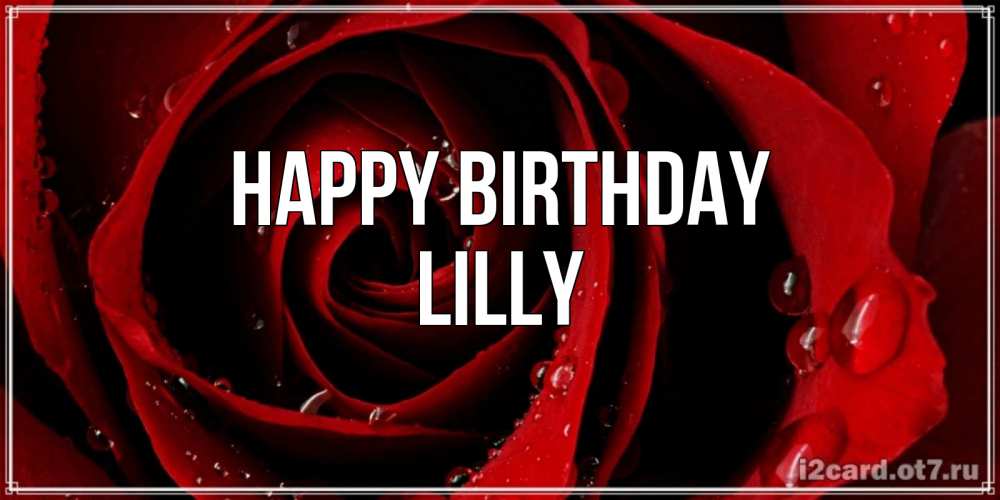 Greetings card с именем, Lilly Happy Birthday крупная бордовая роза Greetings with text for free download 
