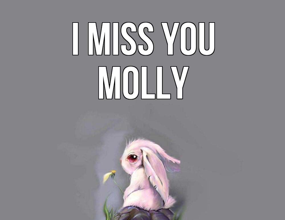 Greetings card с именем, Molly I miss you заяц Greetings with text for free download 