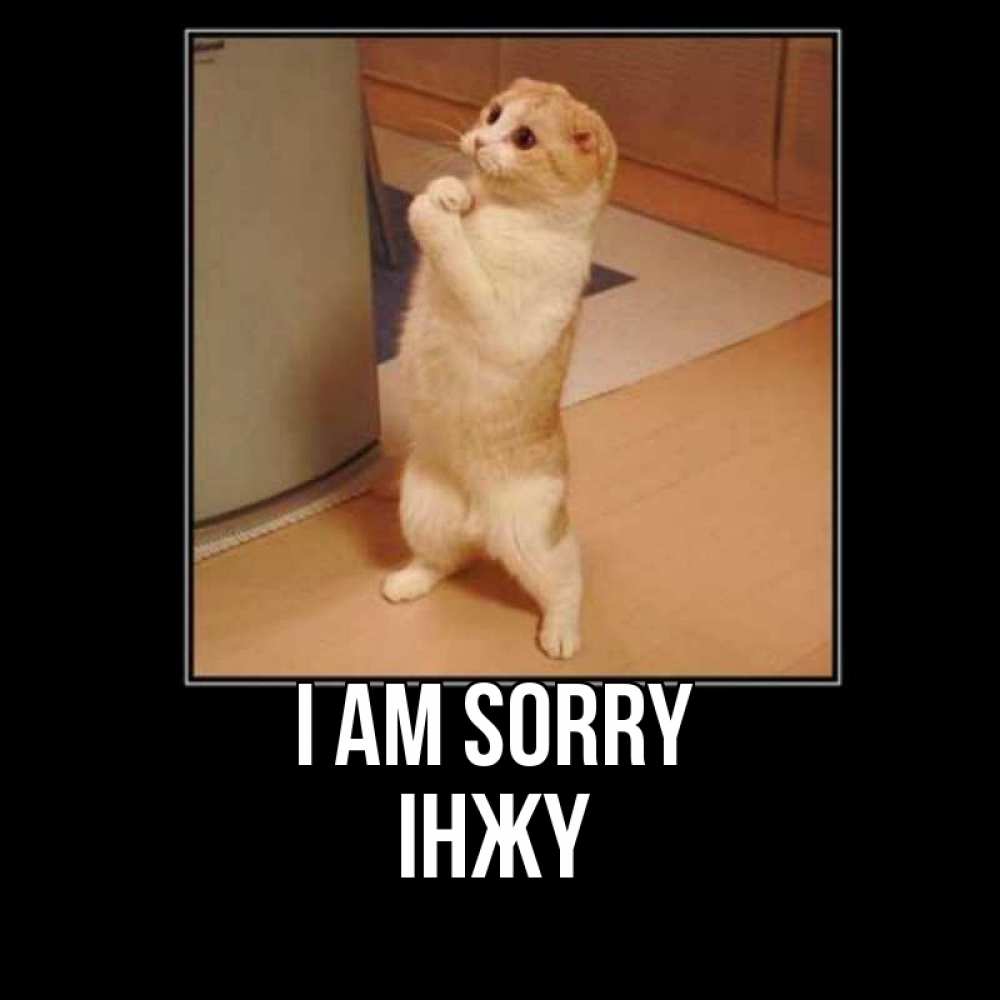 Greetings card с именем, ІНЖҮ I am sorry открытка с милым несчастным котиком просящим прощения Greetings with text for free download 