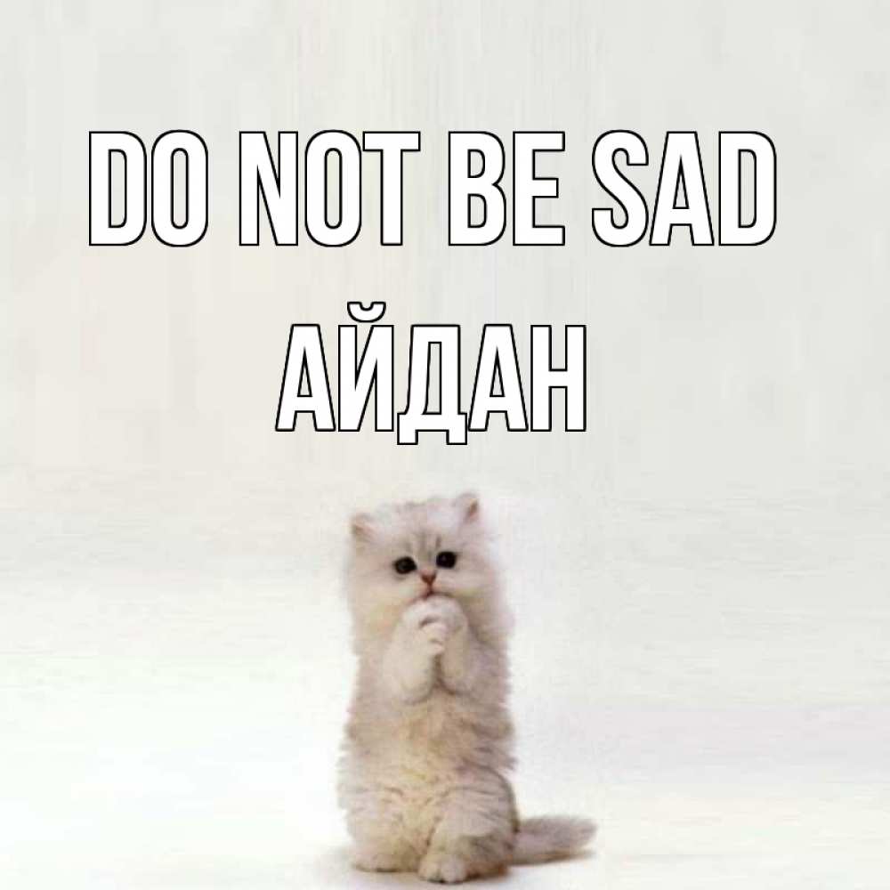 Greetings card с именем, Айдан Do not be sad грустный кот Greetings with text for free download 