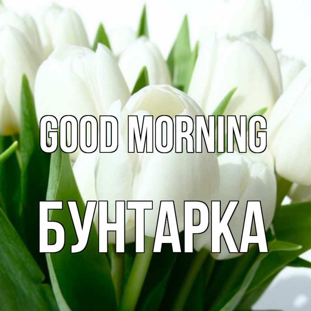 Greetings card с именем, Бунтарка Good morning открытки на каждый день по именам Greetings with text for free download 