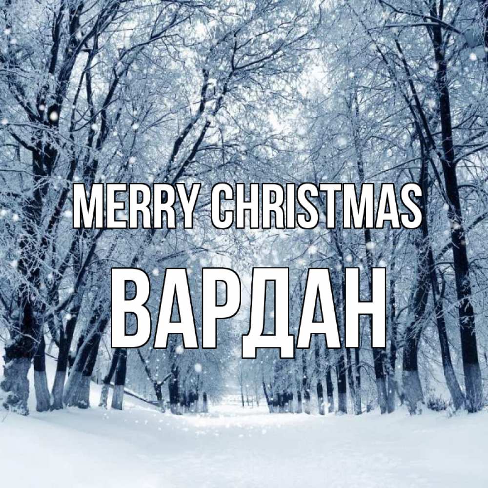 Greetings card с именем, Вардан Merry Christmas снег, лес, парк Greetings with text for free download 