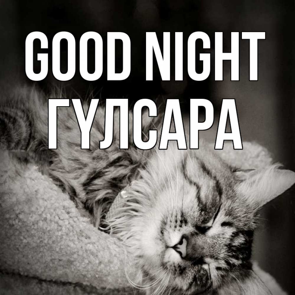 Greetings card с именем, ГҮЛСАРА Good night котярик пушистый Greetings with text for free download 