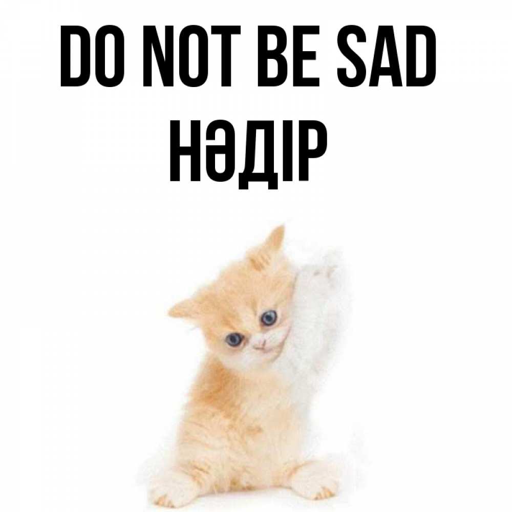 Greetings card с именем, НӘДІР Do not be sad просящий кот Greetings with text for free download 