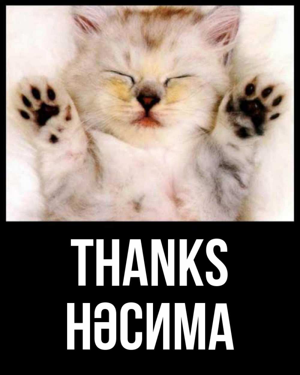 Greetings card с именем, НӘСИМА Thanks маленький котенок Greetings with text for free download 