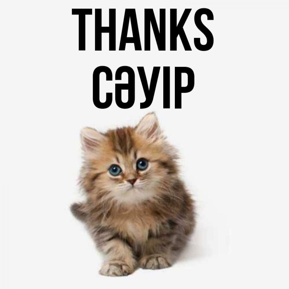 Greetings card с именем, СӘУІР Thanks пушистый котик Greetings with text for free download 
