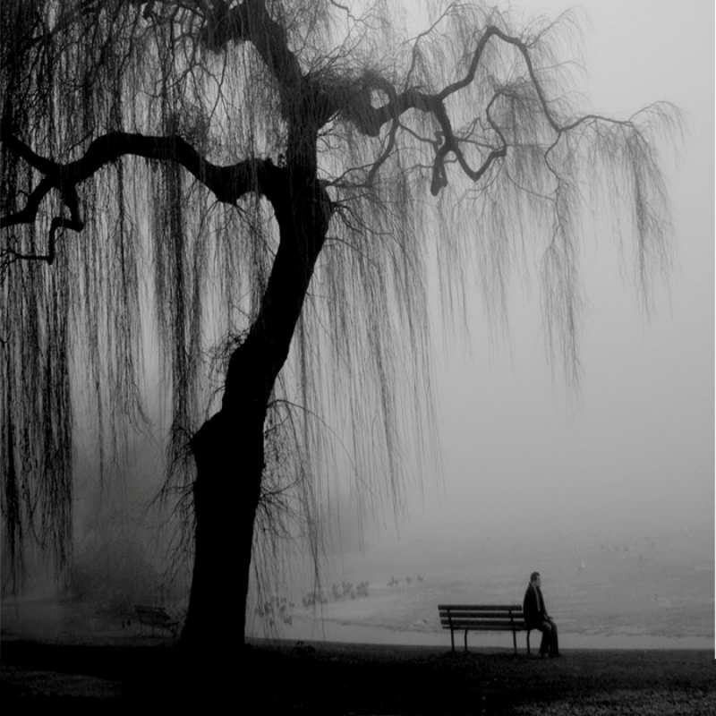 Открытка плаксивое дерево  лавочка под деревом я жду тебя  I miss you 