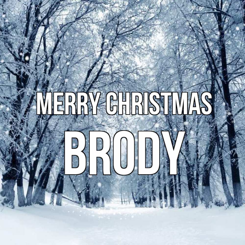 Greetings card с именем, Brody Merry Christmas снег, лес, парк Greetings with text for free download 