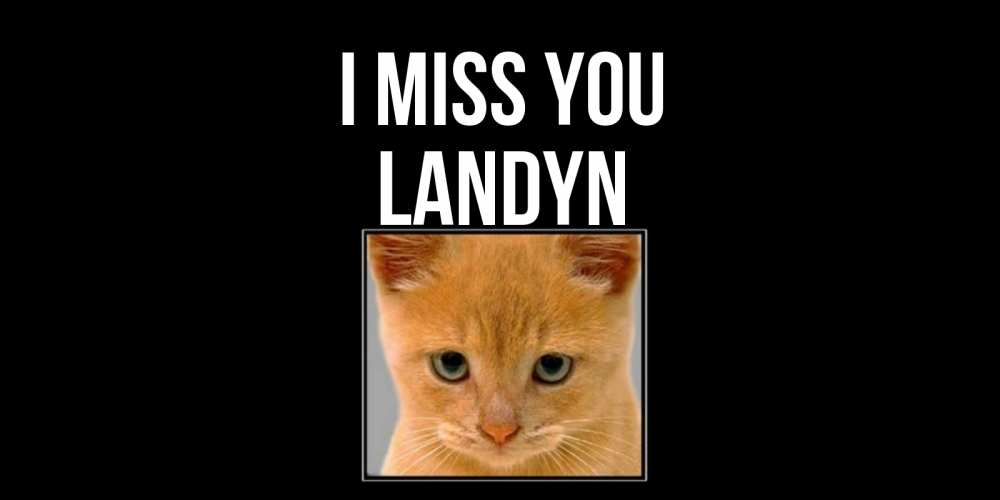Greetings card с именем, Landyn I miss you открытки рыжий котенок скучает по тебе Greetings with text for free download 