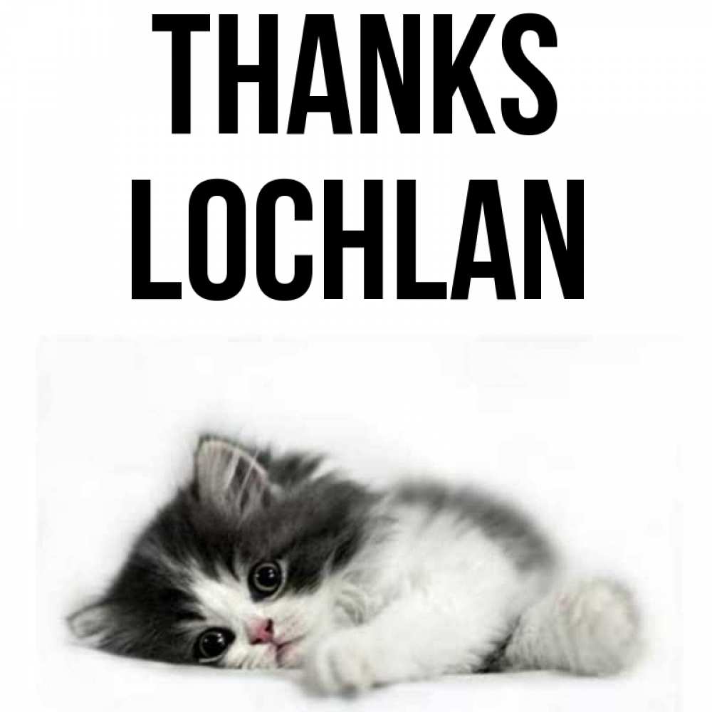 Greetings card с именем, Lochlan Thanks черный и белый кот Greetings with text for free download 