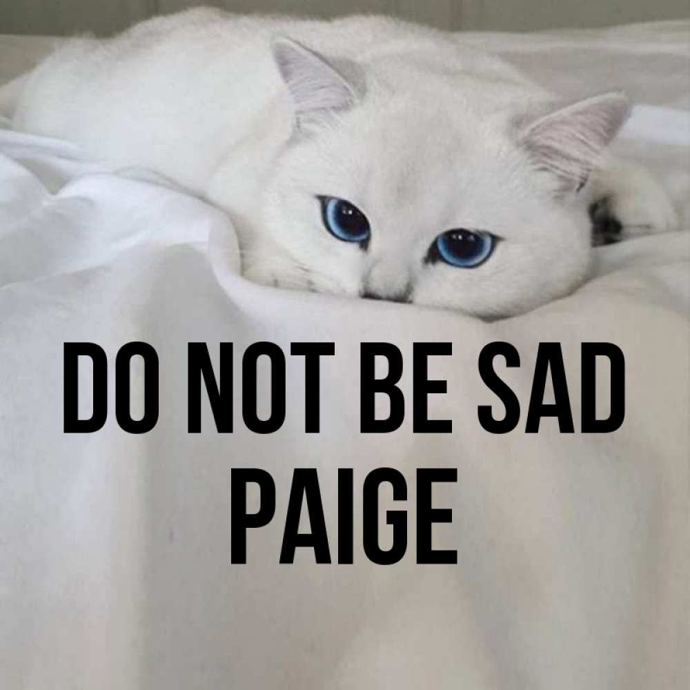Greetings card с именем, Paige Do not be sad Голубоглазая кошка Greetings with text for free download 