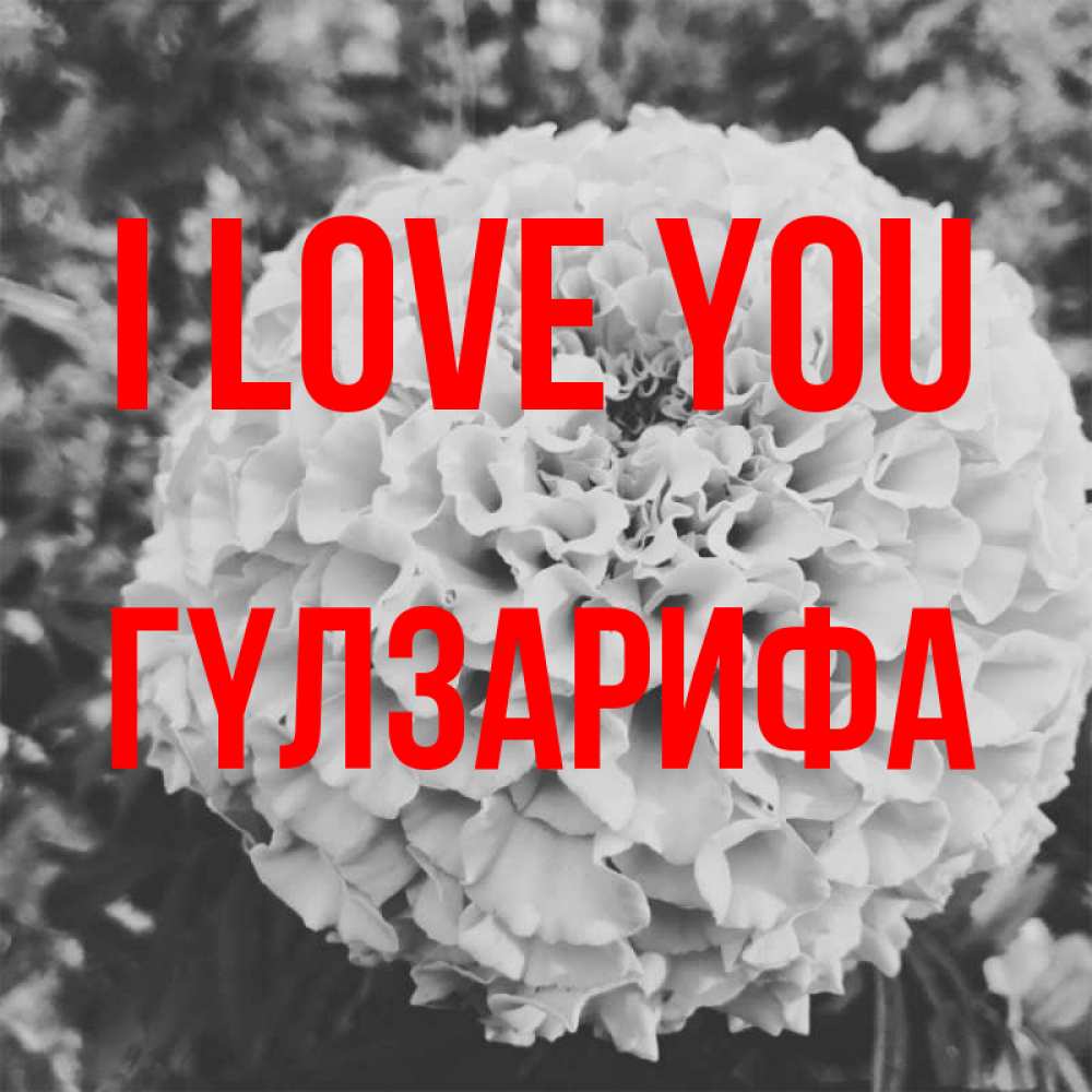 Greetings card с именем, ГҮЛЗАРИФА I love you подпись Greetings with text for free download 