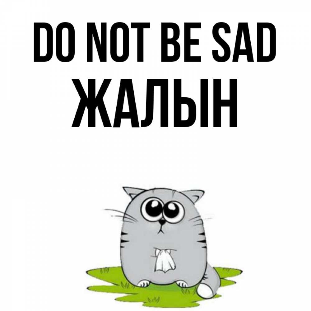 Greetings card с именем, Жалын Do not be sad грустный котяра Greetings with text for free download 